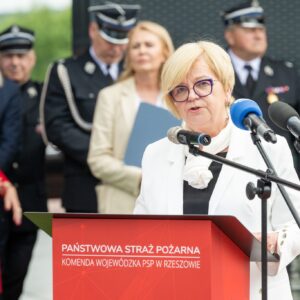 Uczestnicy obchodów z okazji Dnia Strażaka