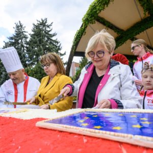 Uczestnicy Pikniku Europejskiego w Rzeszowie